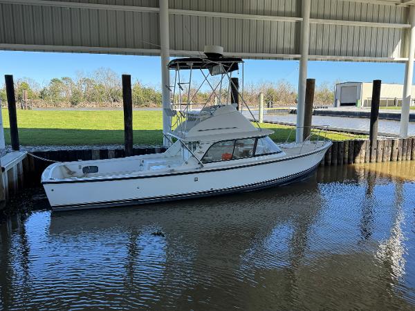 Bertram 31 Sportfisher Yanmars