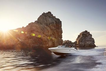 2025 Sea Ray SPX 210