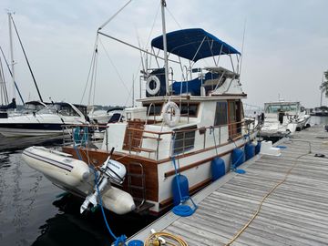 1981 Marine Trader 34 Double Cabin