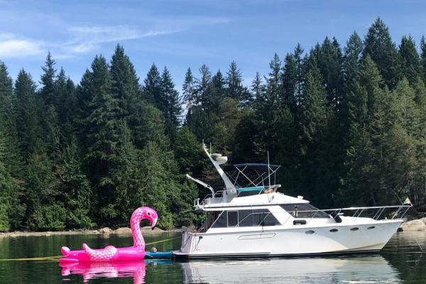 Ocean Alexander 39 Sedan 1986 Ocean Alexander 39 Sedan yacht with pink flamingo float on serene lake.