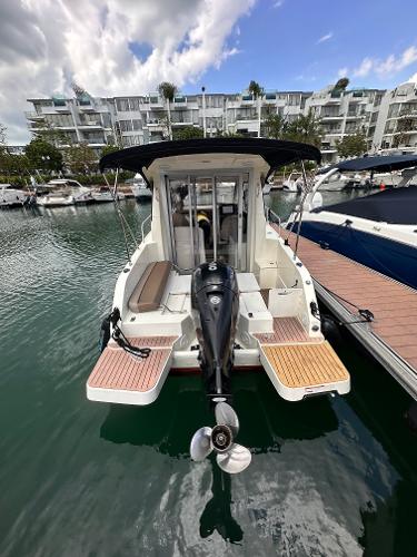 2022 Quicksilver weekender 675