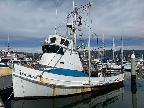 Commercial boats for sale in United States 