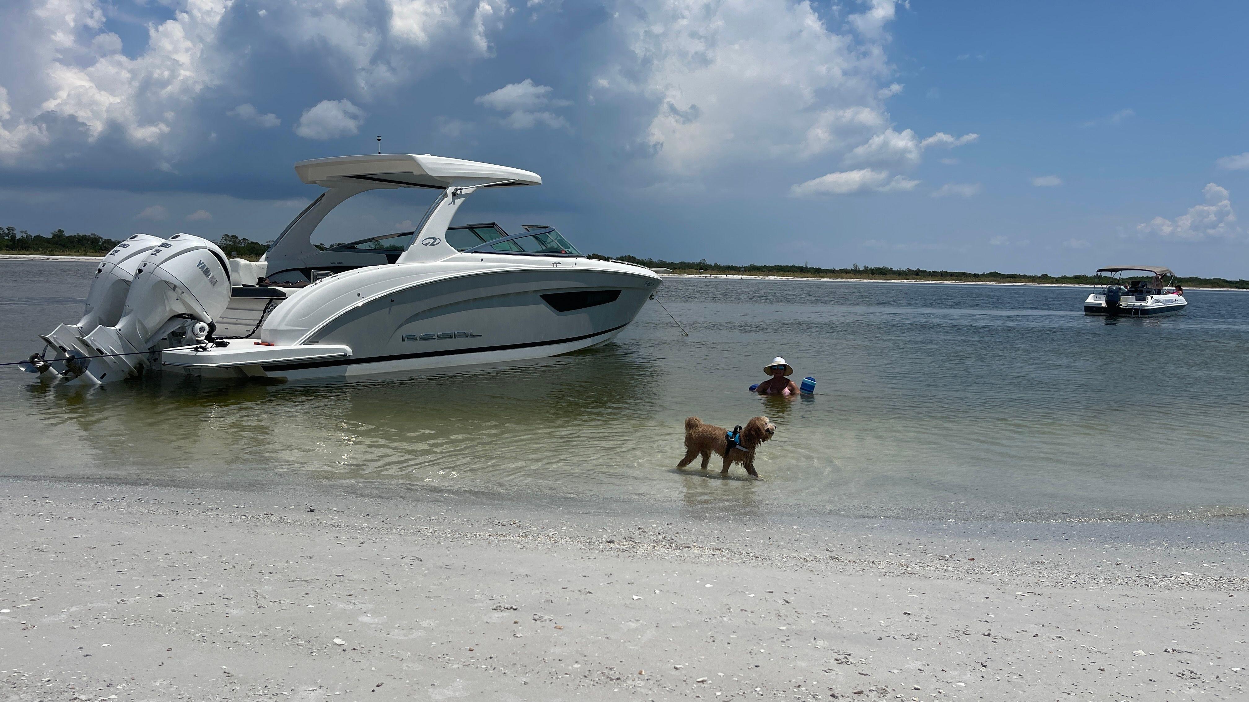 2023 Regal 33 OBX