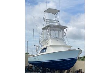 1970 Bertram 31 Sportfisher