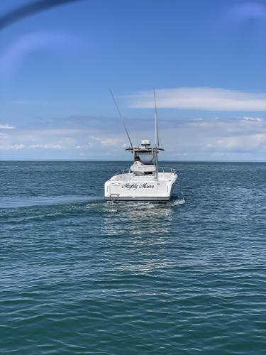 2006 Stamas 290 Tarpon