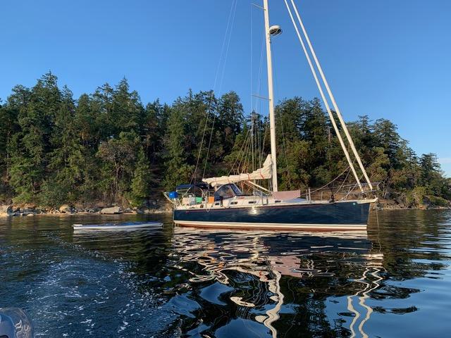 2020 Tartan 365