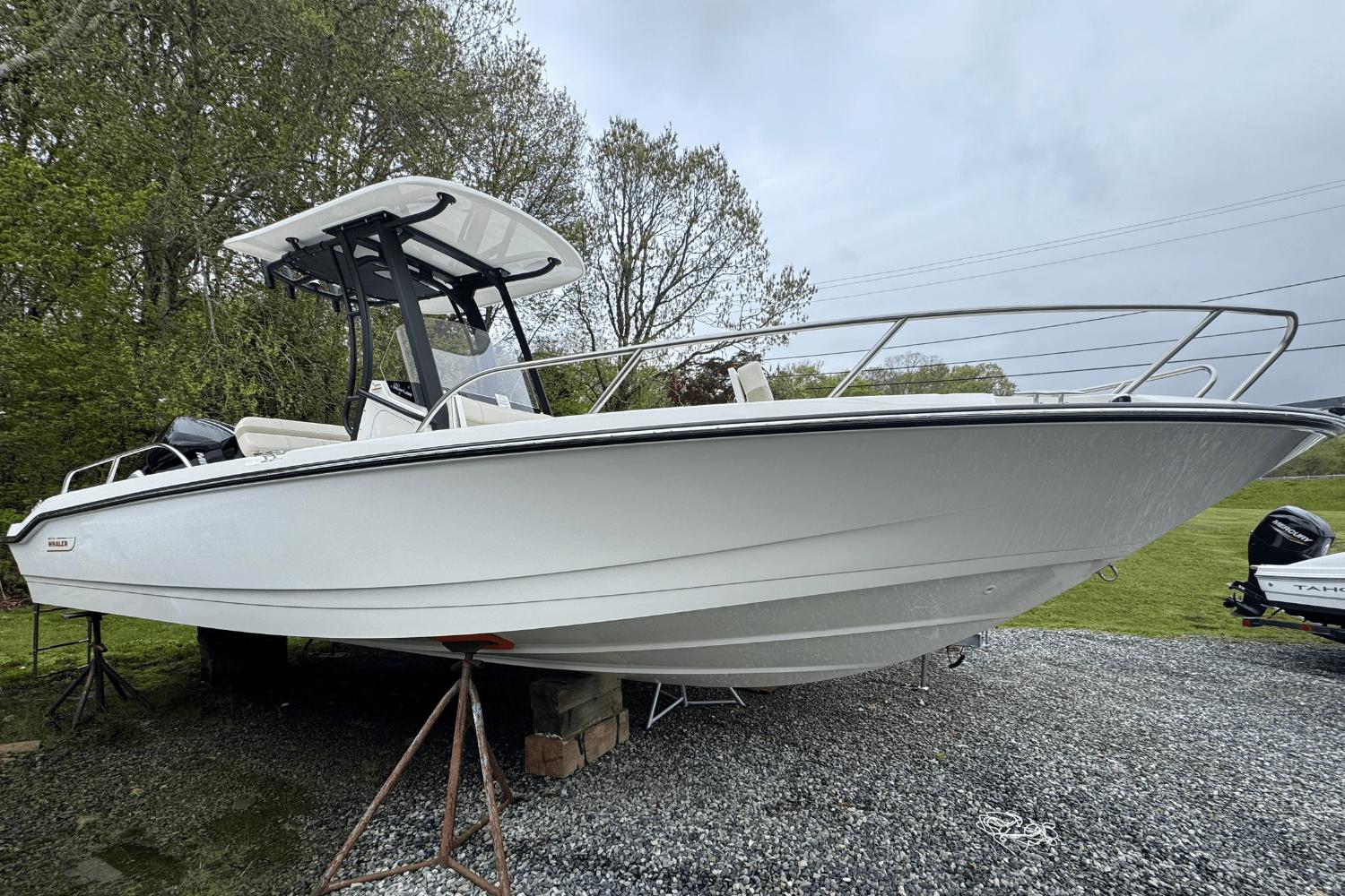 2025 Boston Whaler 250 Dauntless