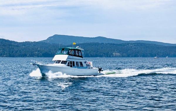 Mainship 430 Trawler