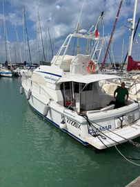 1992 Mochi Craft DOMINATOR 34