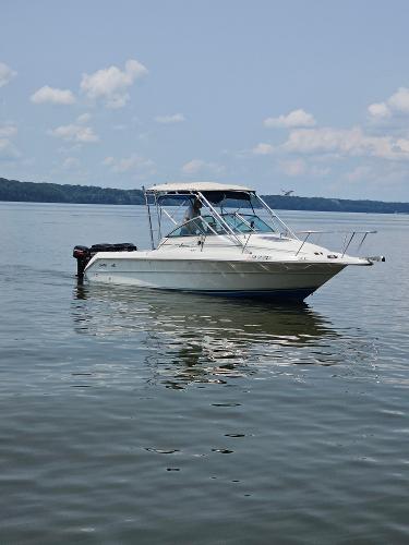 1990 Sea Ray Cutty Cabin Laguna