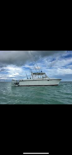 Powercat Catamaran 2000 Powercat Catamaran on calm waters under cloudy skies.