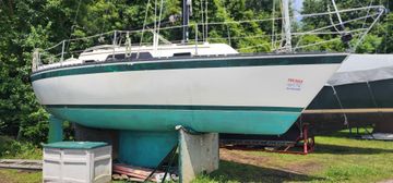 1984 Caliber 28