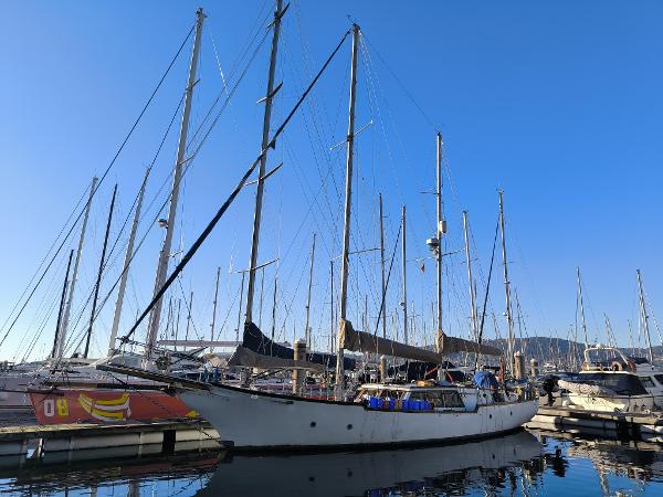 1984 Samson C Baron 55