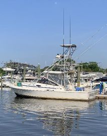 1990 Blackfin 32 Combi