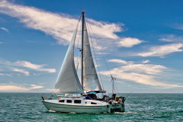 1979 Catamaran Ocean Winds 33