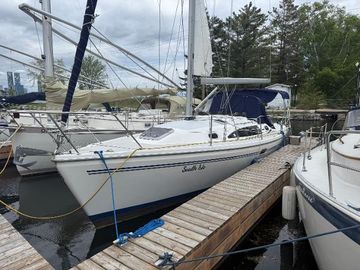 2006 Catalina 309