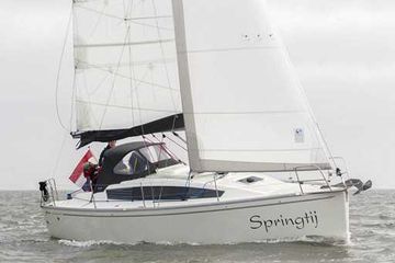 2016 Delphia 31