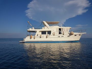 2008 Adagio 51.5