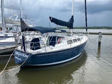 1981 S2 11.0A