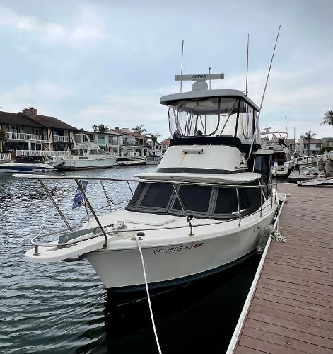1969 Bertram 31 Sportfisher