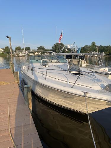 1995 Sea Ray 330 Express Cruiser