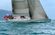 Marten Yachts NZ Farr Sloop thumbnail