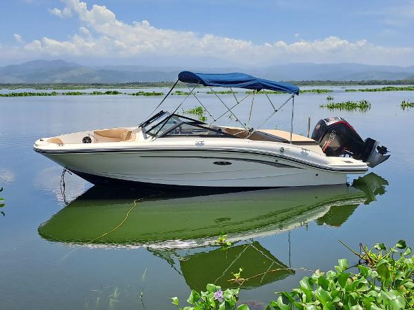 2021 Sea Ray SPX 190 Outboard
