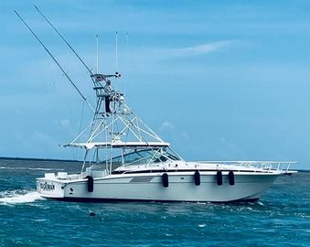 1994 Bertram 46 Moppie
