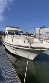 1994 Pfeil 450