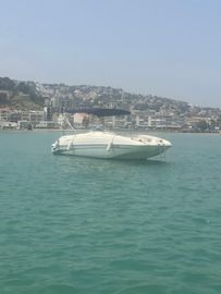1999 Monterey 240 Explorer