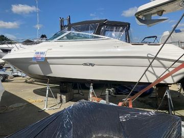 1992 Sea Ray 200 Cuddy Cabin