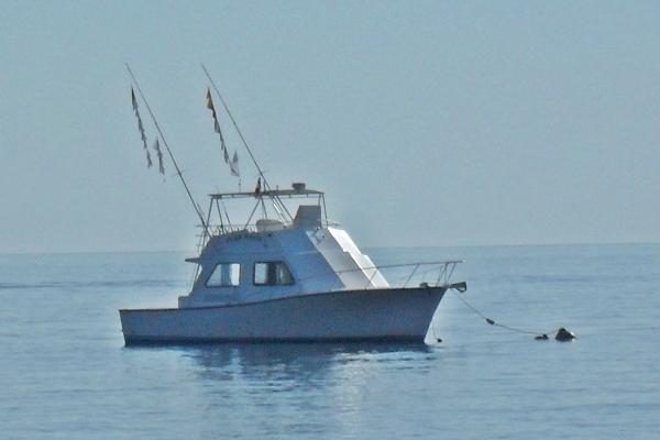 2006 Island Hopper Sportfisher