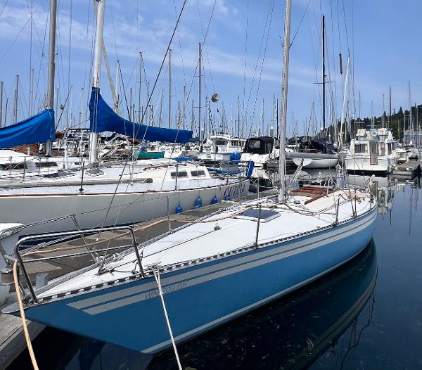 1978 Aphrodite 101