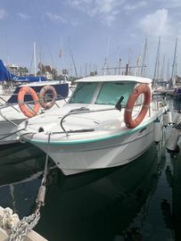 2006 Ocqueteau 695