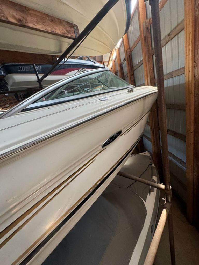 Sea Ray 210