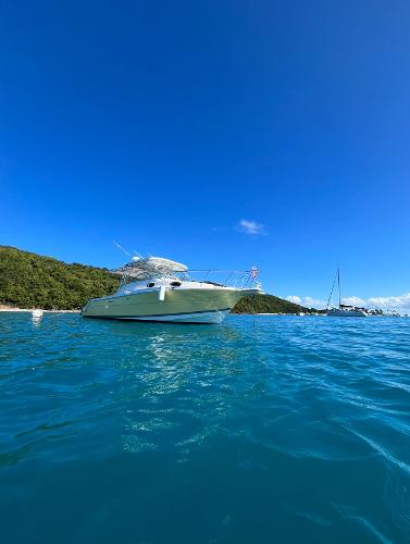 2005 Wellcraft 290 Coastal