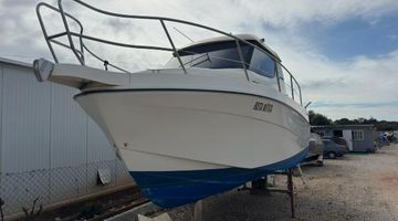 2005 Rodman 810