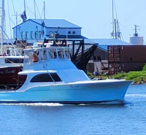 1979 Buddy Davis 46 Convertible