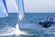 Beneteau First 14 thumbnail