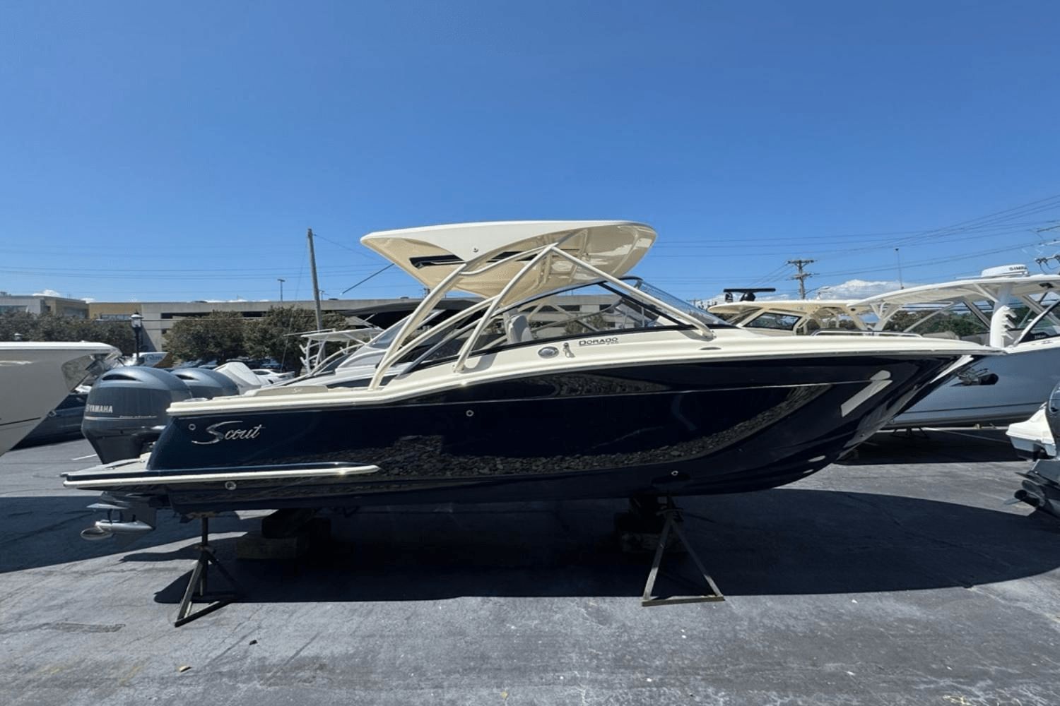 2025 Scout 255 Dorado