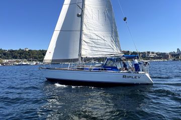 1983 CT 38 Warwick