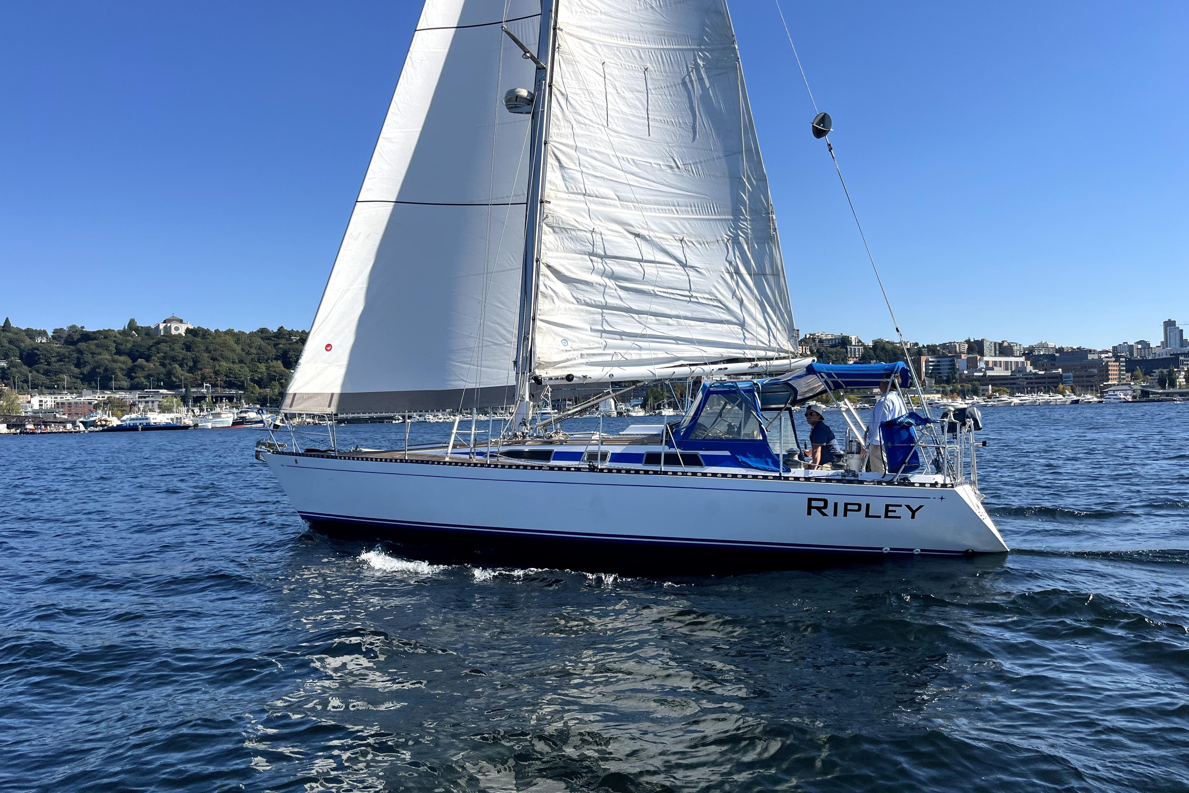 1983 CT 38 Warwick