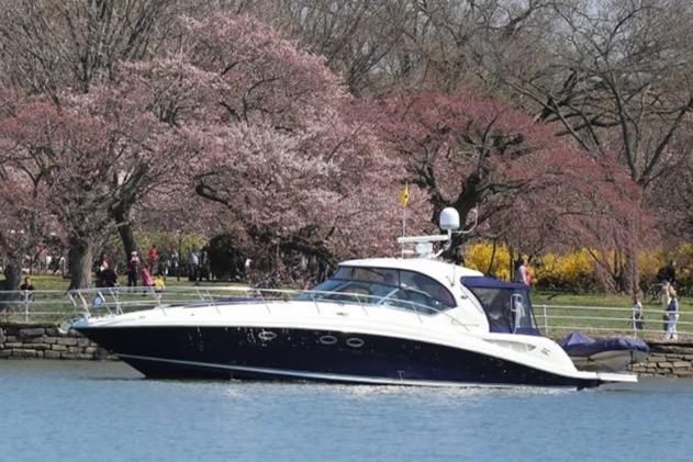 Sea Ray 420 Sundancer 2004 Sea Ray 420 Sundancer yacht cruising near blooming cherry blossom trees.