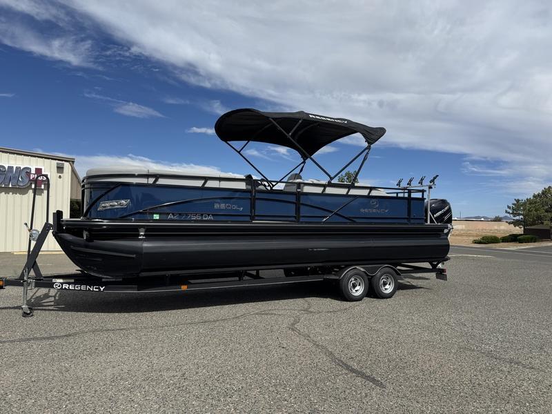 Regency 250 DL3 2019 Regency 250 DL3 pontoon boat on trailer under a cloudy sky.
