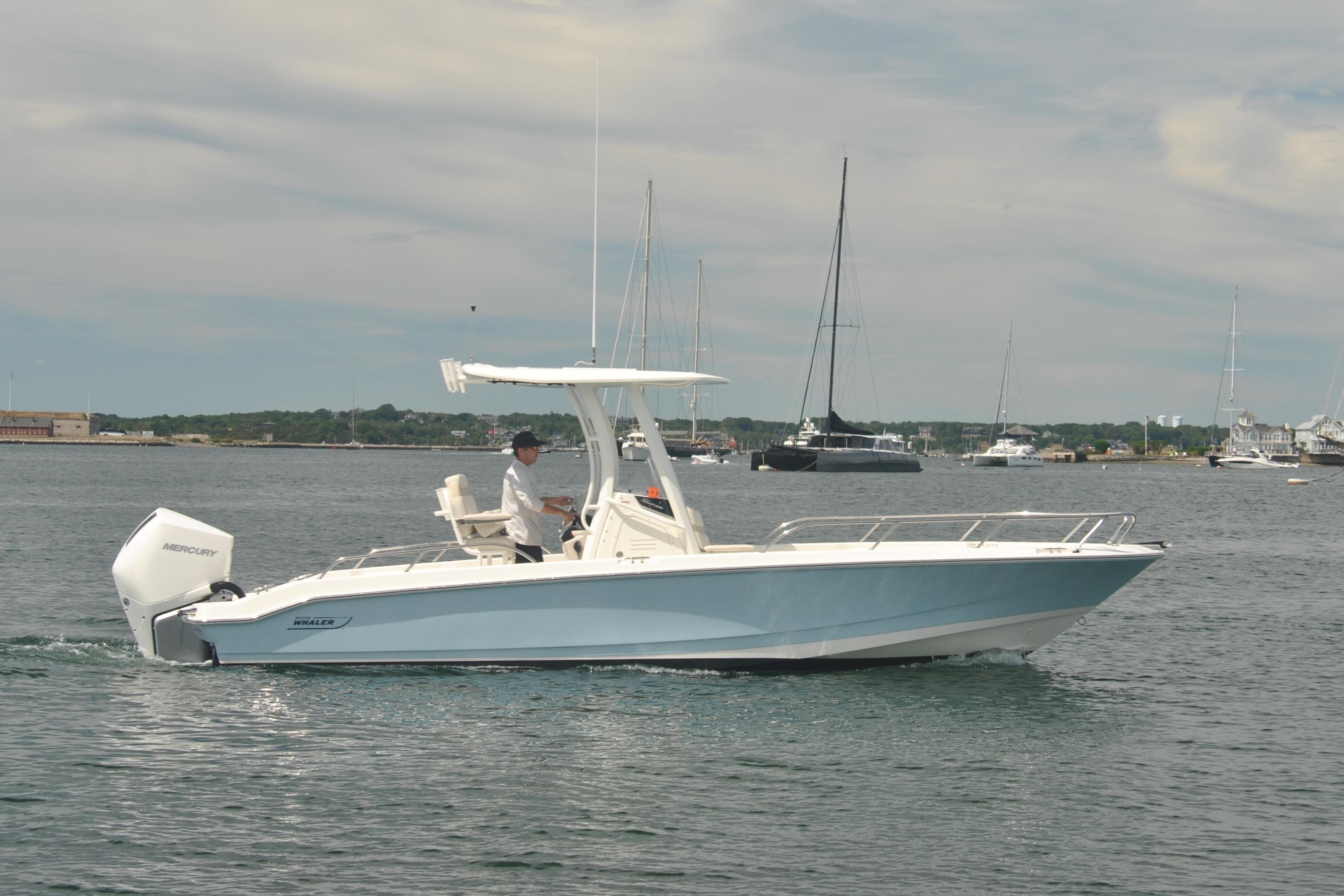 2024 Boston Whaler 250 Dauntless
