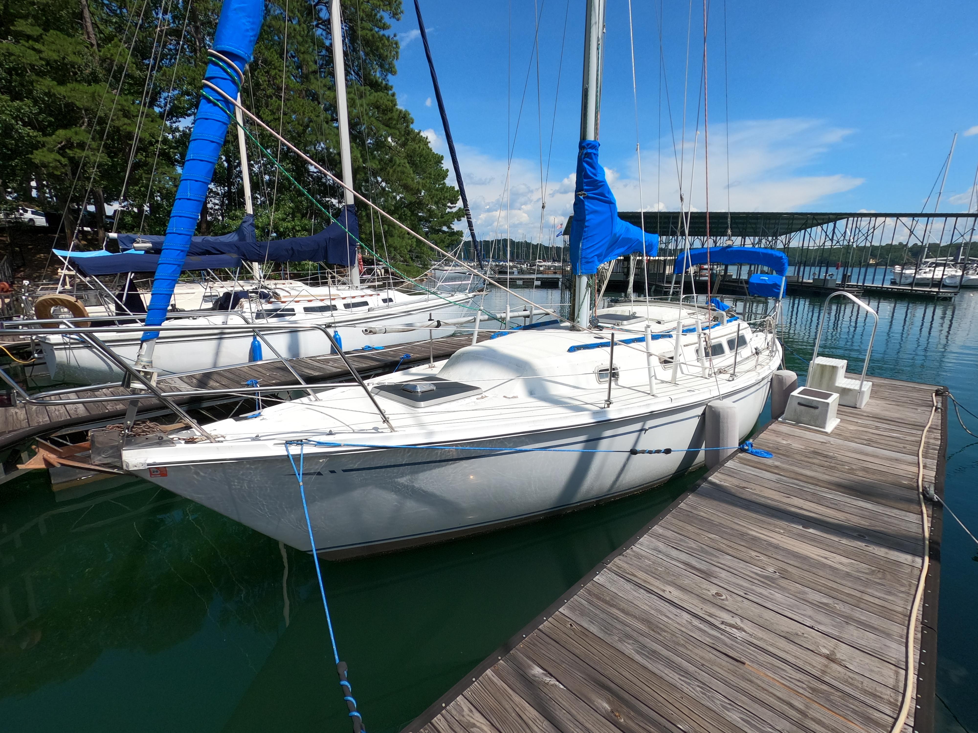 1984 CAL 31