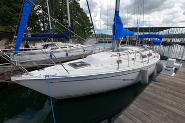 1984 CAL 31