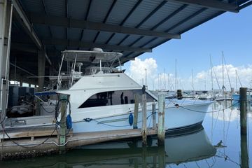 1988 Ocean Convertible