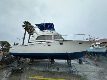 1981 Bertram 38III Convertible