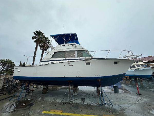 1981 Bertram 38III Convertible
